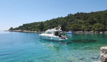 5c520c22b23400098472f3ea